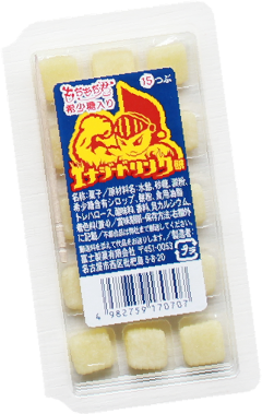 xmف@GiW[hN݁@N@12@24@